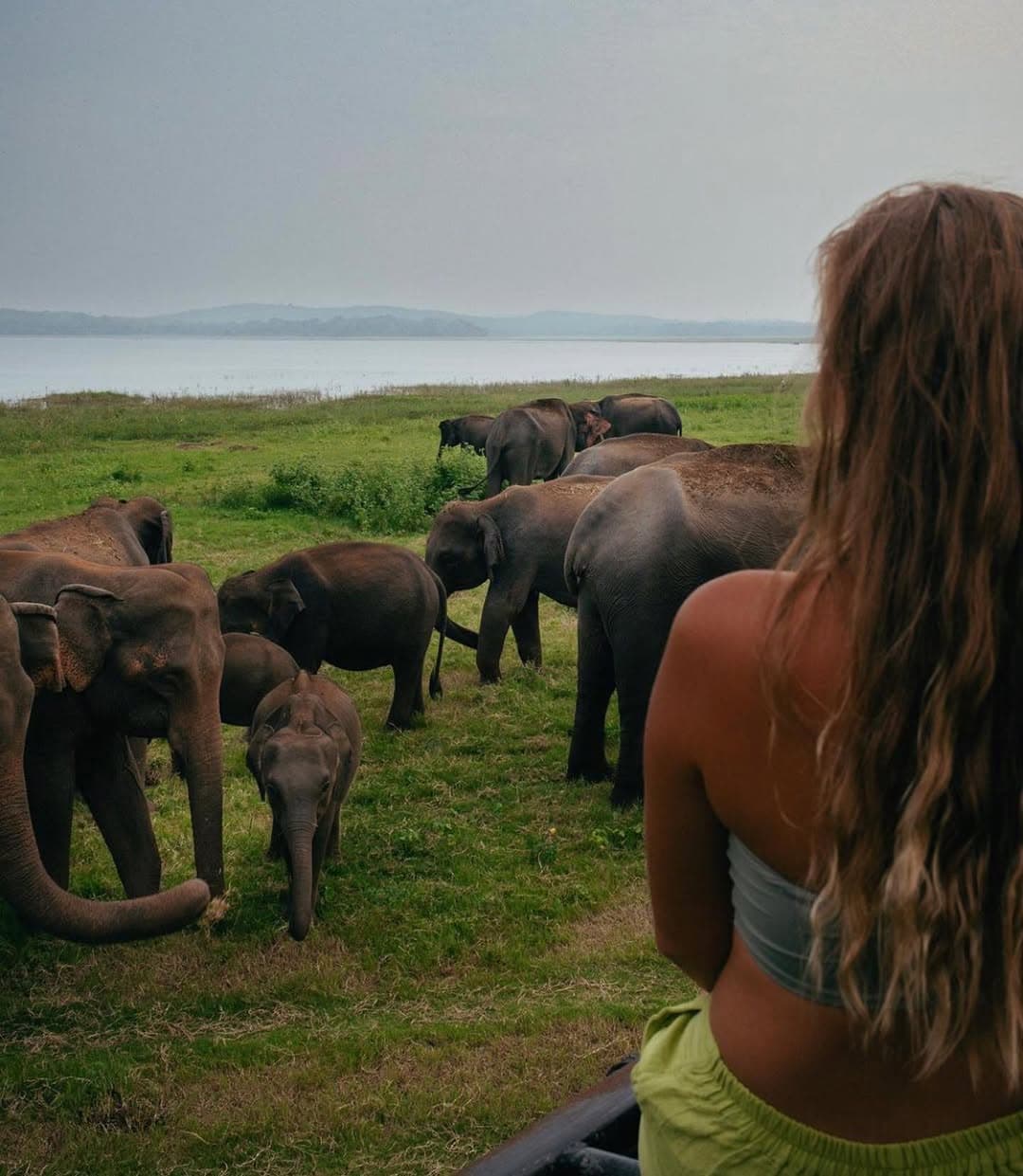カウダラ国立公園