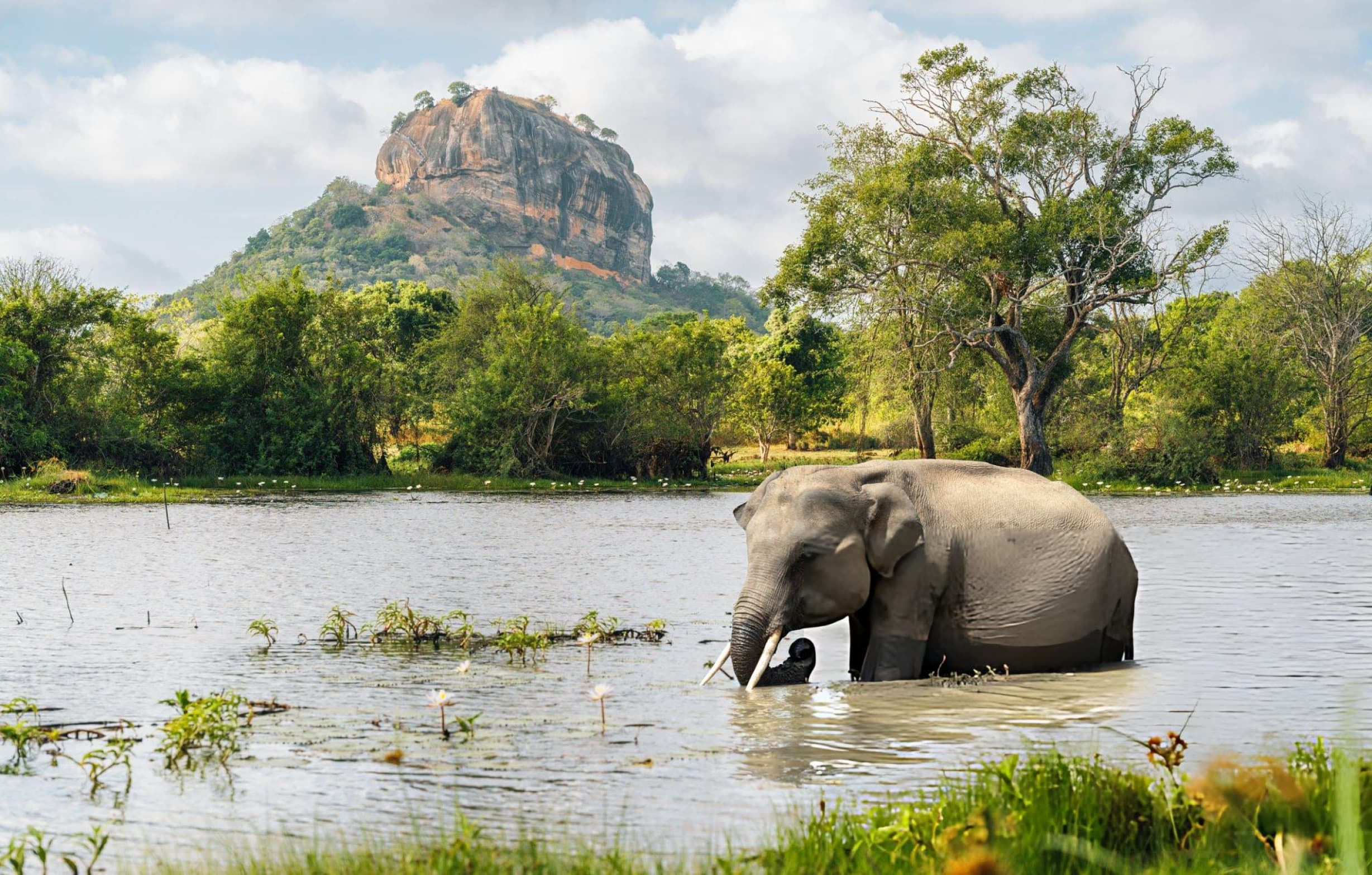 歴史と伝統を巡る旅
