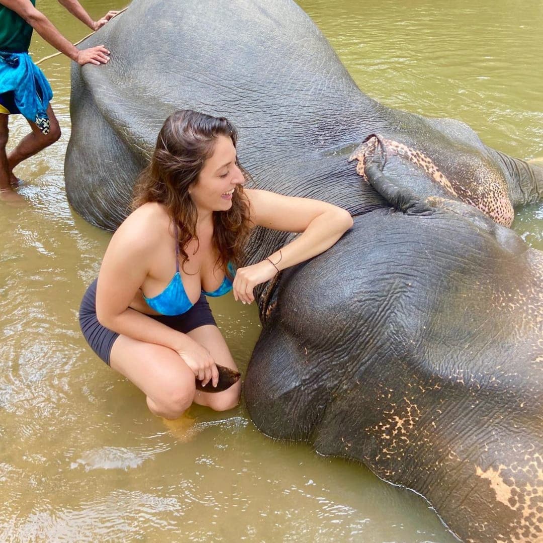 アドベンチャーツアー